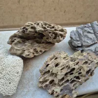 آکواریوم، بخاری، فیلتر سطلی،ازن ساز،پمپ هوا و غیره|ماهی|اصفهان, شهرک کاوه|دیوار