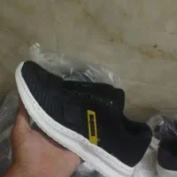 دمپای|کیف، کفش، کمربند|سبزوار, چهارراه فرودگاه|دیوار