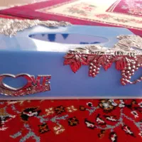 جای دستمال کاغذی