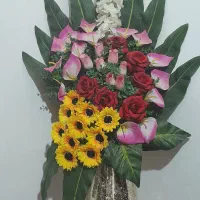گل زیبا نونو