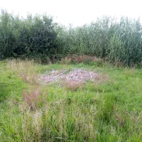 زمین مسکونی ۶۳۰ متر