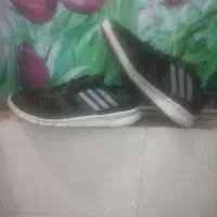 کتونی خارجی هم قیمت کتونی ایرانی|کیف، کفش، کمربند|قم, مسجد امام حسن|دیوار