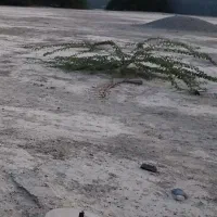 فروش زمین ۳۰۰ متری