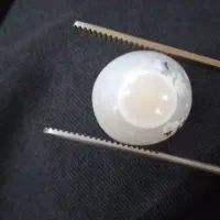 شجر طبیعی باباقوری تک چشم