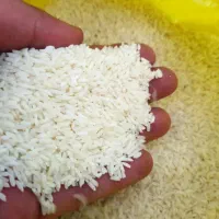 برنج دانه کامل سونامسوری