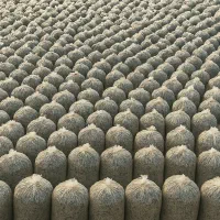 تفاله بسته شده