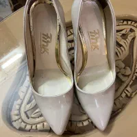 کفش مجلسی