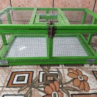 قفس راهکش|پرنده|اصفهان, قهجاورستان|دیوار