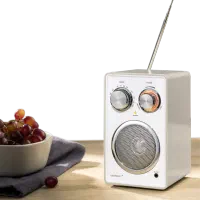 رادیو بلوتوث دار باطری خور