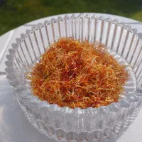 محصولات ارگانیک خراسان|خوردنی و آشامیدنی|لنگرود, |دیوار