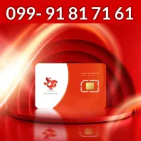 099-91-81-71-61