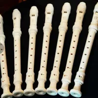 پخش عمده فلوت ریکوردر یاماها