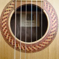 گیتار Benberg|گیتار، بیس، امپلیفایر|رامسر, |دیوار