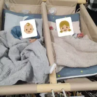 گاهواره دوقلو