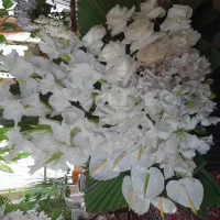 استند گل ترحیم