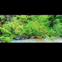 تور 5 روزه ماسوله