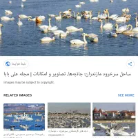 مشاوره رایگان در مورد سرمایه گذاری در شمال|فعالیت داوطلبانه|تهران, جردن|دیوار