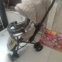 کالسکه دلیجان درحد‌نو