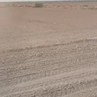 اجاره زمین کشاورزی