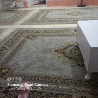 ۴تا فرش ۶متری تراکم ۲۱۰۰ . ۵۰۰ شانه|فرش|رشت, آزادگان|دیوار