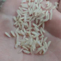 فروش فوق العاده برنج عمده|خوردنی و آشامیدنی|تهران, ایرانشهر|دیوار