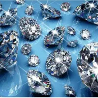 فیش فضای سبز آینده ای درخشان سرمایه گذاری مطمئن