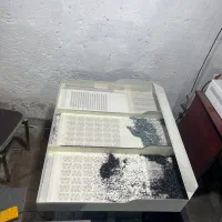 نیروی خانم جهت نگین زنی