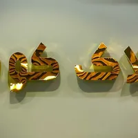 پنت هاوس 300متری گلشن
