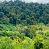 7هزارمترزمین-مسکونی-کوهپایه-جنگلی-رودخانه-بهشتی
