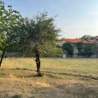 ۱۶۴متر زمین/صدف