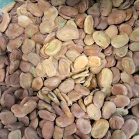 ۵۰ کیلو باقلا مازندران اعلا