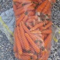 کارگر هویج شویی