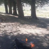 اجاره پارکینگ تمیزو مرتب در قصلان