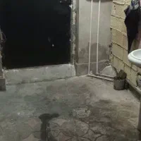 سوئیت 60 متری|فروش آپارتمان|رشت, شهرک شهید مفتح|دیوار