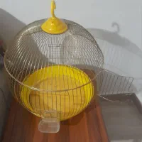 قفس پرنده سالم