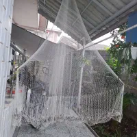 تور ماهیگیری