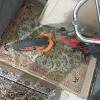 دوچرخه ۱۲|دوچرخه، اسکیت، اسکوتر|قدس, شهر‌قدس|دیوار