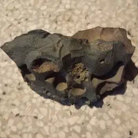 شهاب سنگ|جواهرات|بندر دیر, |دیوار