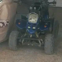 گاوصندوق موتور فرش کت کاپشن پیراهن گفش گلدان قهوه