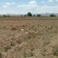 زمین-کشاورزی-4000متری-در-یحیی-آباد