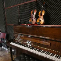 آموزشگاه موسیقی/آموزش تمامی سازها تضمینی و حرفه ای