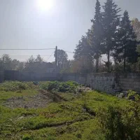 233 متر زمین در لیش مسکونی