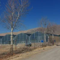 مجموعه-صنعتی-پرورش-ماهی-خاویاری-بروجرد