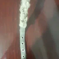 قلاده سگ همراه بند