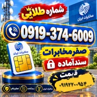 0919-374-6009