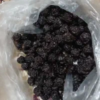 البالو خشک  وقیصی