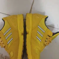 کتونی zx8000 اورجینال ادیداس لگو|کیف، کفش، کمربند|پرند, فاز ۳|دیوار