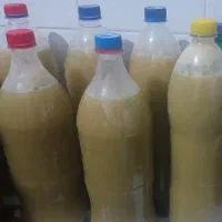 فروش ابغوره