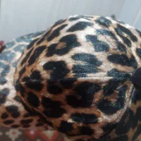 کلاه کپ زنانه|لباس|کرج, اصفهانی‌ها|دیوار