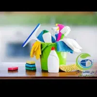 نظافت منزل وسالن توسط خانم